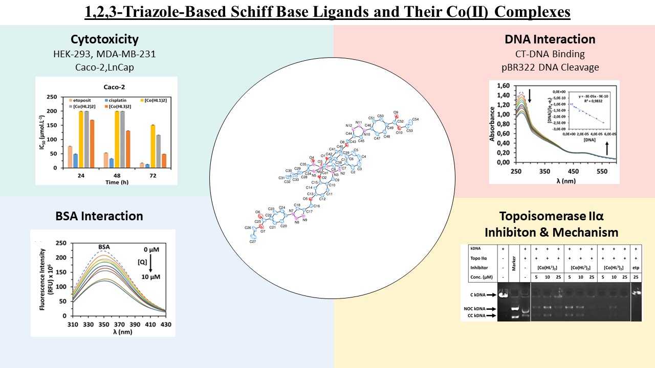 Graphical Abstract