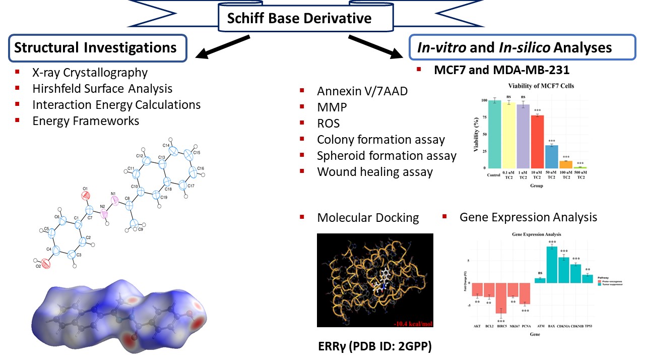 Graphical Abstract