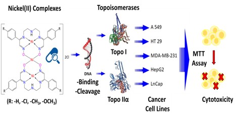 Graphical Abstract